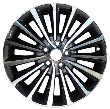 CADENZA 17-19